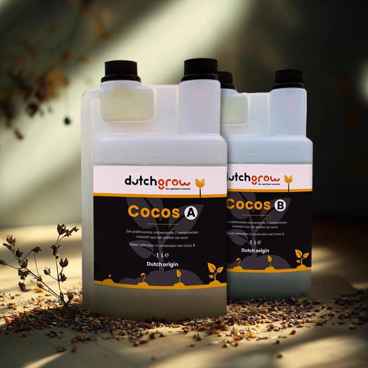 DutchGrow Cocos